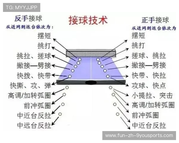 Chinese Taipei乒乓球战术讲解：接发球的精准与巧妙